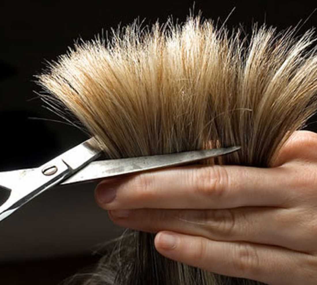 Hair Cutting & Styling